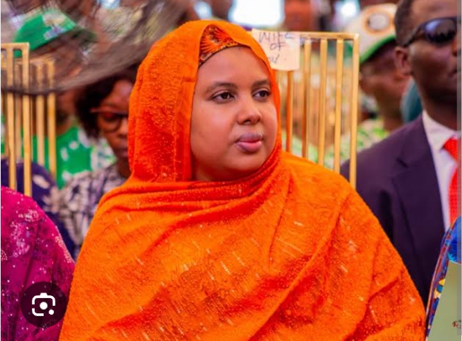 Masu Ba da Shawara Kan Rushe Shirun Da Ake Yi Kan Lafiyar Hankali A Katsina Sun Yi Allah-wadai Da Shiru Kan Lafiyar Hankali