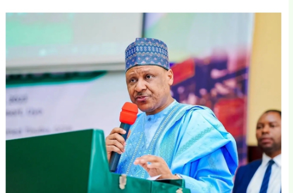 Gyaran da Tinubu ya yi wa masana’antar likitanci ta Najeriya na bunkasa – Ministan Yada Labarai