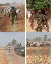 Sojoji sun kwato dabbobin da aka sace, sun dakile ayyukan ‘yan ta’adda a majalisar Kafur