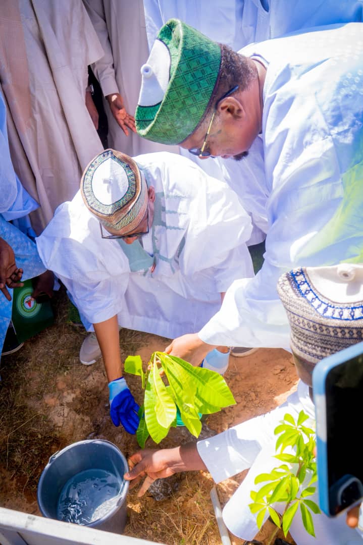 Katsina ta Sanya Burin Shuka Bishiyoyi Miliyan 11 nan da Shekarar 2030 — Gwamna Radda