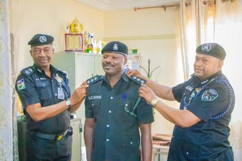 Katsina police command spokesman, 180 others promoted and decorated