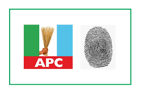 APC Candidates for February 2025 Local Goverment Election